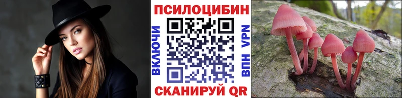 где найти   Москва  Псилоцибиновые грибы ЛСД 